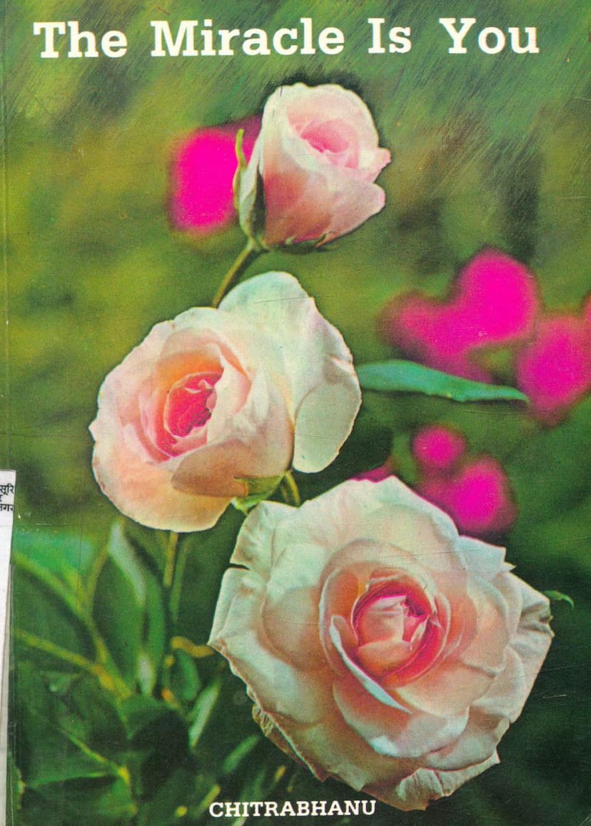 First page of Miracle Is You