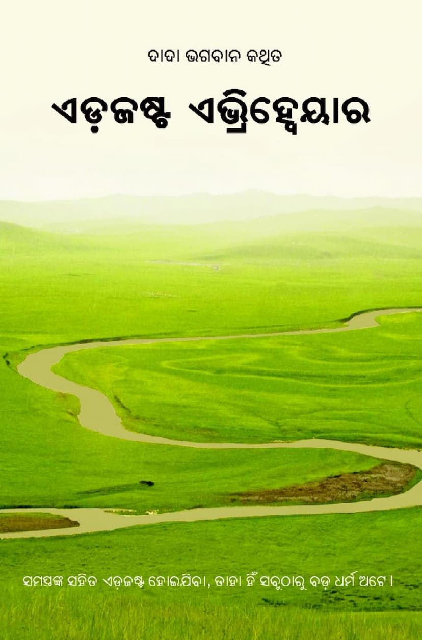 First page of Adjust Every Where